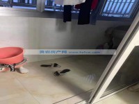 其它图